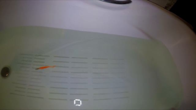 Съедобный силикон от Takedo смотреть онлайн