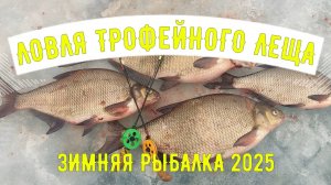 Ловля трофейного леща. Зимняя рыбалка. 15-16 марта 2025г.