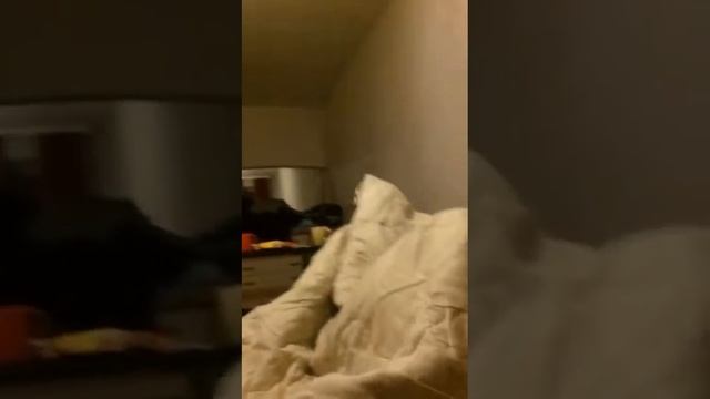 Заказали проститута 🔞 смотреть онлайн