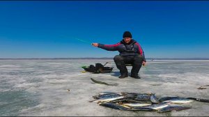 Рыбалка в Приморье ловля селёдки со льда.
