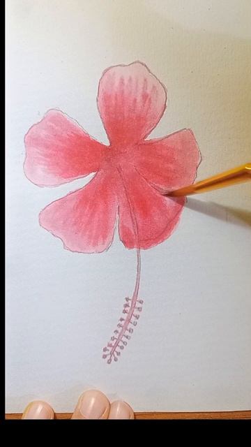 Hibiscus Flower | Chaina Rose Drawing Easy Technique | Joba #shorts #hibiscusdrawing #flowerdrawing смотреть онлайн