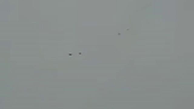 Николаевские голуби 21.02.2012г.
