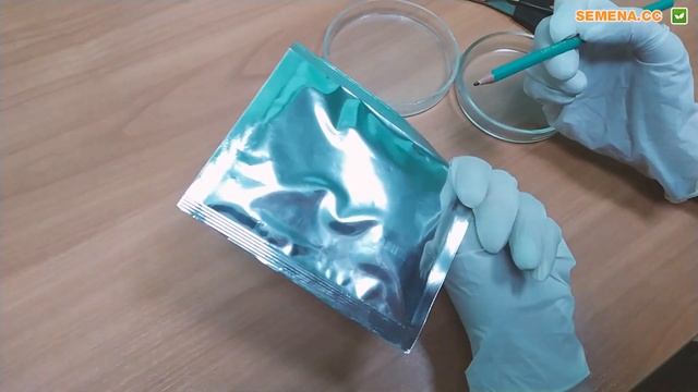Бєлозьорка солодкий перець (SemenaOptom) Антифейк смотреть онлайн