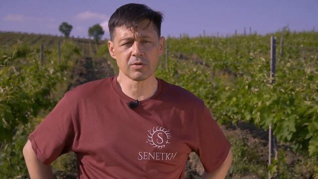 Сенетх смотреть онлайн