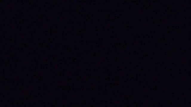 Боссик в вольере, воробьи во дворе.