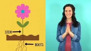 Parts of a flower song
