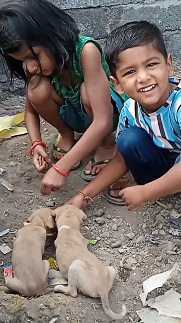 Puppy #cute смотреть онлайн