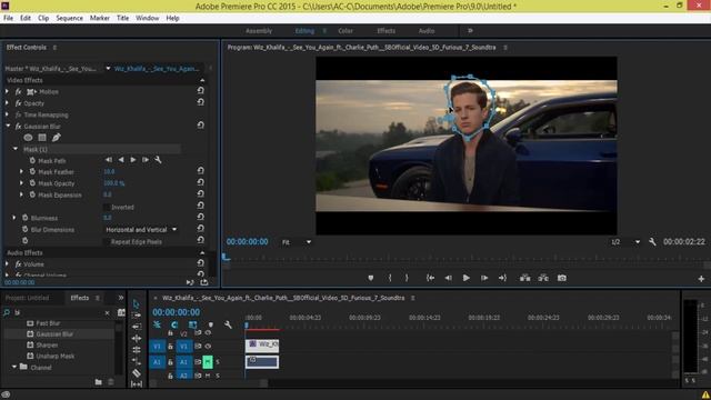 How to Blur Face in a video in Premiere Pro [Urdu/Hindi] смотреть онлайн