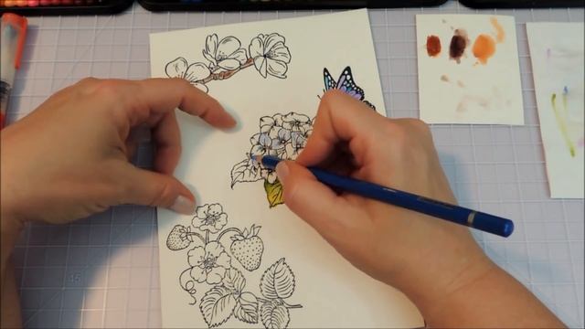 Product Review ~ Arteza Watercolor Pencils смотреть онлайн
