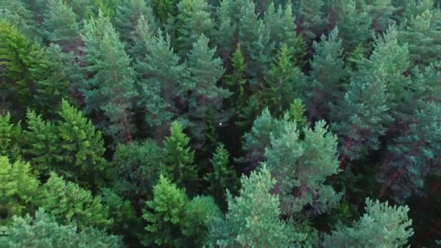 Artistic Theme Set | Filmora Effects Store смотреть онлайн