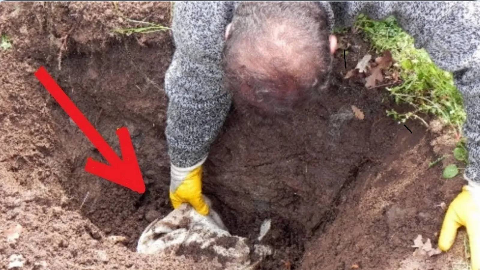 Повезло с НАХОДКАМИ в Старом ЛЕСУ не по ДЕТСКИ, Карманы ПОЛНЫЕ и Копать не Успеваю!!! смотреть онлайн