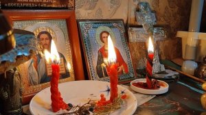 Сила Рода -Древо Рода .чистка,отжиг