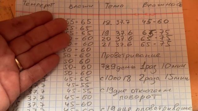 Серия 7) 6 день икубации РЯБА 36_моя таблица вывода цыплят по дням,как выставить ручной режим РЯБА36 смотреть онлайн