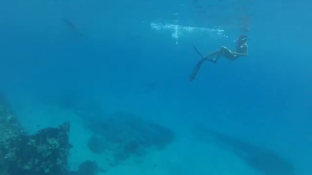 Freediving Electric Beach смотреть онлайн