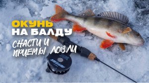 Снасть БАЛДА на Окуня Зимой со Льда