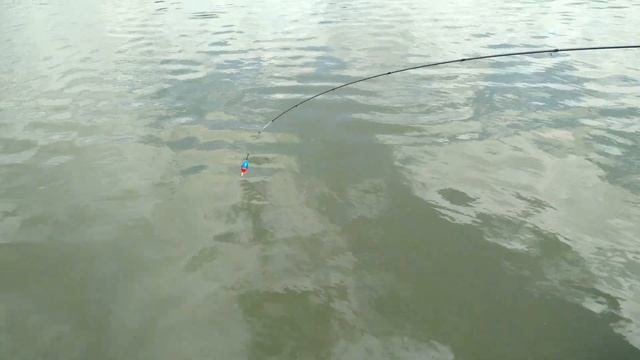 РЫБАЛКА на КАРПА (ЗАО Гжелка) смотреть онлайн