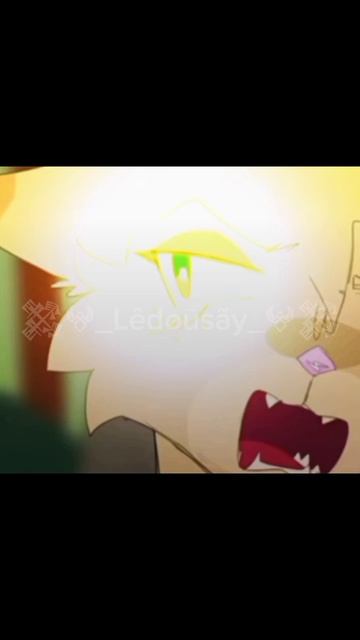 #КотыВоители#ПесчанаяБуря#Огнезвёзд