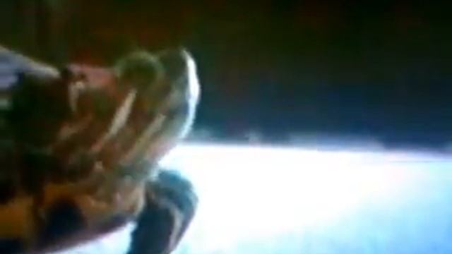 Животный Смех смотреть онлайн