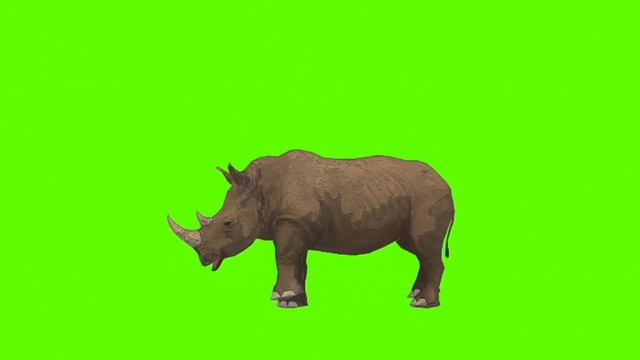 green screen free download🦏 rhinoceros download free full version 🦏 rhinoceros 3d free download 🦏 🦏 смотреть онлайн