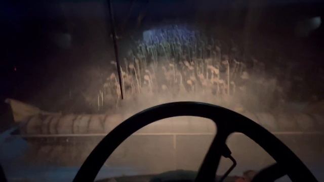 Уборочная подсолнечника 2023