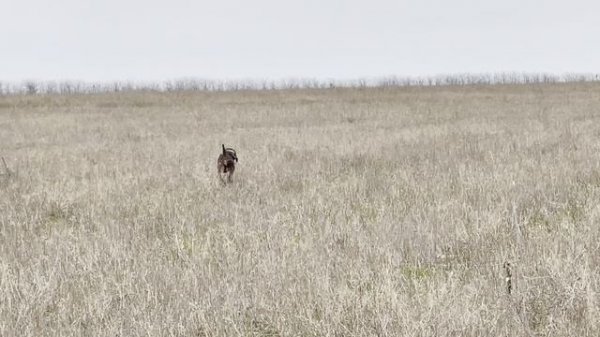 Лора флашит