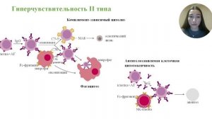 Реакции гиперчувствительности, их типы | МедВуза