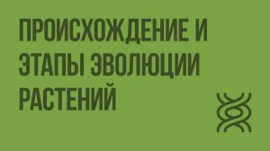 Происхождение и этапы эволюции растений. Видеоурок по биологии 6 класс
