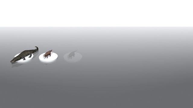 Researchers say large predators moving into expected areas