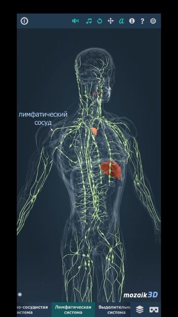 #жизнь #кровьюипотом #лимфома #болезнь смотреть онлайн