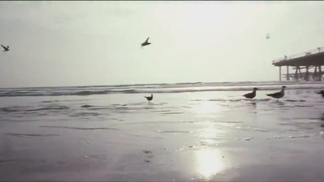 The Master (1992) Jet Li Sub Indonesia смотреть онлайн
