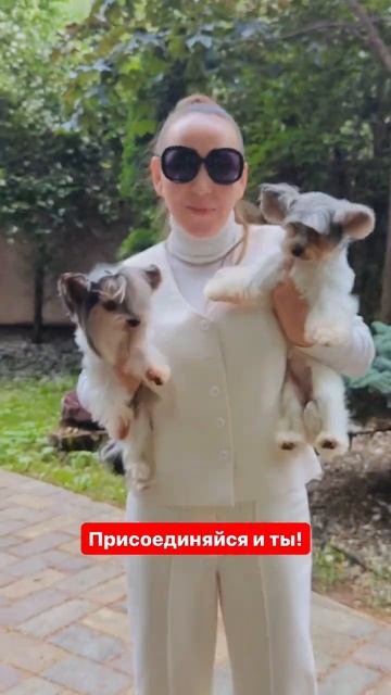 Вот как весело #пампирап #весёлоевидео #животные #музыка смотреть онлайн