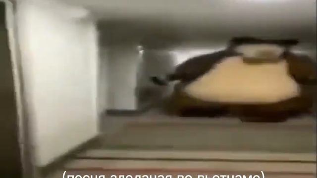 медведь бежит мемис #meme#иедведь#рек#ягейойтоестьгений