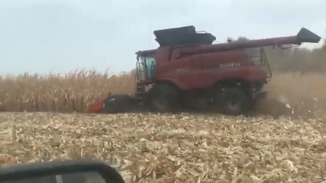 Молочная ферма Жупикова, Тамбовская обл смотреть онлайн