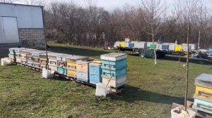 Весенняя обработка пчел от клеща.