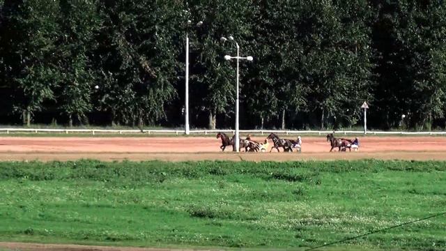 Московский ипподром. Бега. 05.08.17. Заезд 7(437) смотреть онлайн