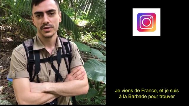 Je cherche le plus petit serpent du monde [SPOIL : je ne le trouve pas lol] смотреть онлайн