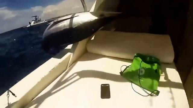 ПРИКОЛЫ НА РЫБАЛКЕ #5 смотреть онлайн