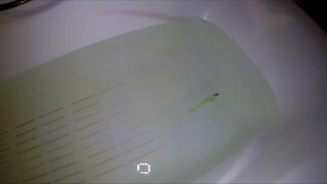 OOSHIMA смотреть онлайн