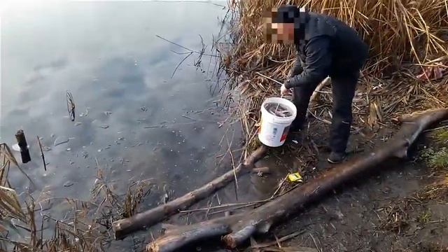 Карьер Дружба зарыбление 17.12.2019 Карась 52 кг