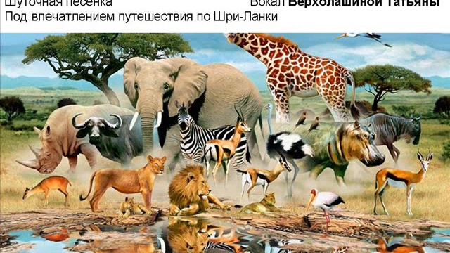 Нефедов песни Верхолашин 028 Райский уголок Цейлон