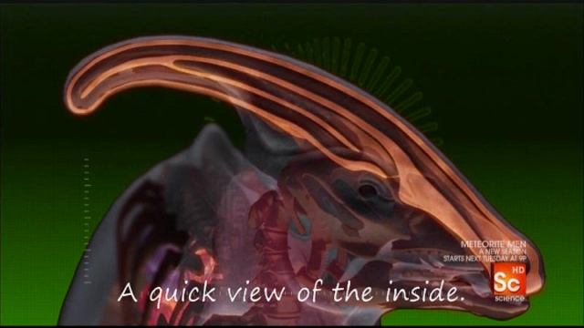Parasaurolophus Sounds смотреть онлайн