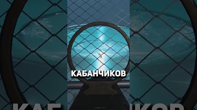 Пасхалки №4 #warface #варфейс #дрымский смотреть онлайн