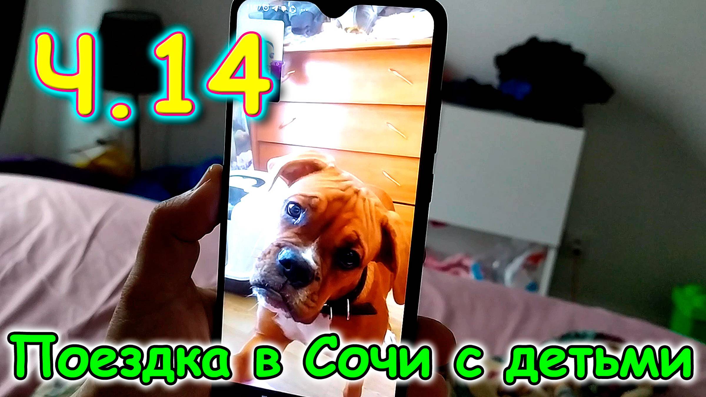 Москва, Сочи 2025. Хорошие новости. Супружество. Фотик. Джесси. (03.25г.) Семья Бровченко. смотреть онлайн