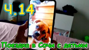 Москва, Сочи 2025. Хорошие новости. Супружество. Фотик. Джесси. (03.25г.) Семья Бровченко.