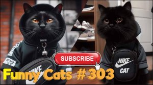 Смешные коты #303