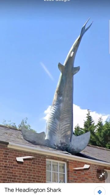 I found a shark 🦈 on google maps смотреть онлайн