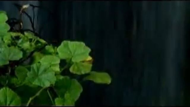 Durutti Column - My Country (monarchy Remix)