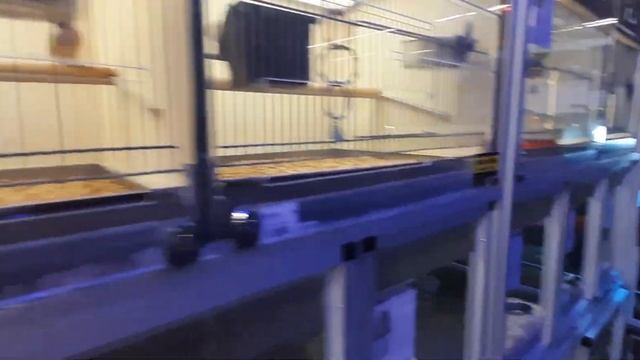 Польша Магазин с животными и рыбками Sklep ze zwierzętami смотреть онлайн