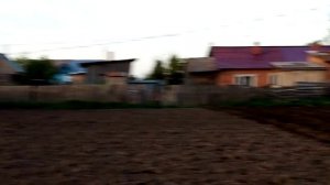 Т-25 Нарезаю борозды