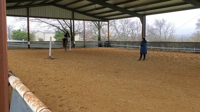 Three Post Switch Game. Stack Swap Stand Fun. Learning New Play While Riding a Horse. Kid's Lessons смотреть онлайн